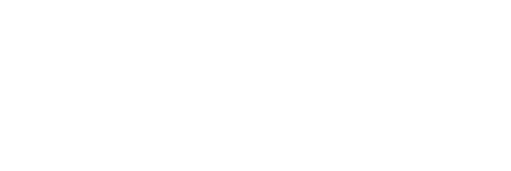 2024 Vdl Med 